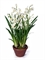 Орхидея Цимбидиум белая большая в кашпо (искусственная) Treez Collection - фото 8123