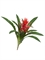 Гусмания с красным цветком (искусственная) Treez Collection - фото 83317