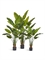 Стрелиция New Style (Sensitive Botanic) искусственная Treez Collection 33019 - фото 87103