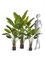 Стрелиция New Style (Sensitive Botanic) искусственная Treez Collection 33019 - фото 87104