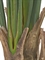 Стрелиция New Style (Sensitive Botanic) искусственная Treez Collection 33019 - фото 87105