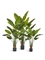 Стрелиция New Style зелёная в-180 см (20 листов) Sensitive Botanic искусственная Treez Collection 36554 - фото 87118