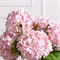 7141А/0443-7/5(F) Гортензия искусственная 1 голова d20см, h67см, светло-розовая 35477 - фото 88947
