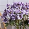 7141А/0443-23/8(F) Хризантема искусственная кустовая h56см, сиреневая 35483 - фото 88961