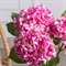 7141А/0443-24/1(F) Гортензия искусственная 1 голова d18см, h47см, розовая 35491 - фото 88977