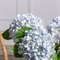 7141А/0443-24/10(F) Гортензия искусственная 1 голова d18см, h47см, голубая 35494 - фото 88987