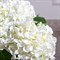 7141А/0443-24/23(F) Гортензия искусственная 1 голова d18см, h47см, белая 35496 - фото 88993