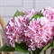 7141А/0443-24/5(F) Гортензия искусственная 1 голова d18см, h47см, светло-розовая 35500 - фото 89002