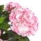 090/К/461-5 Гортензия искусственная (латекс) h90см, розовая 35587 - фото 89258