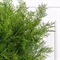 Т090/375-1(з)(Promo) Можжевельник искусственный куст h90см, d80см в кашпо 35648 - фото 89429