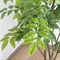 120/К/424(Пр) Акация искусственная куст h120см 35678 - фото 89509