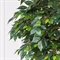 180/Ш/34-1(з/УУ)(Пр)(F) Фикус искусственный h180см, d100см (латекс) 35692 - фото 89546