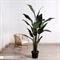 220/К/360(FixK)(F) Банановая пальма искусственная h220см в кашпо 35818 - фото 89907