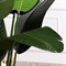 220/К/360(FixK)(F) Банановая пальма искусственная h220см в кашпо 35818 - фото 89909