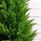 Т210/4677(з)(F) Туя искусственная конус Платинум Грин h210см, на основании d40см 35887 - фото 90101