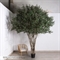 300/РН/465(Пр)(F) Оливковое дерево искусственное h300см 35944 - фото 90268
