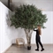 300/РН/465(Пр)(F) Оливковое дерево искусственное h300см 35944 - фото 90269