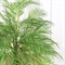 ПС125/К/359(Пр)(F) Пальма искусственная Робелена, h125см 35960 - фото 90322