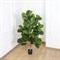 130/477(МТ)(Fix) Фикус искусственный Лирата h130см 35973 - фото 90364