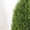 Т135/Э/467 Туя искусственная Кипрес интерьерная h135см 36019 - фото 90501