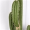 КА01 Кактус искусственный Карнегия h100см 36026 - фото 90525