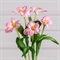 7141А/0443-02/1Р(АКЦИЯ) Тюльпан распустившийся искусственный d8см, h50см, розовый 36084 - фото 90726