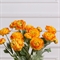 7141А/0443-17/18Р Ранункулюс искусственный 2 головы, 1 бутон h50см, оранж. 36087 - фото 90738