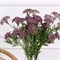 7141А/0443-04/8Р(F) Ветка цветущая искусственная 5 соцветий, h53см, сиренев. 36099 - фото 90786