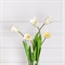 7141А/0471-01/23Р(АКЦИЯ) Тюльпан искусственный h70см, белый (латекс) 36100 - фото 90789