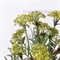 7141А/0443-04/3Р(F) Ветка цветущая искусственная 5 соцветий, h53см, желтая 36102 - фото 90798