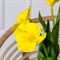 7141А/0443-02/3Р(АКЦИЯ) Тюльпан распустившийся искусственный d8см, h50см, желтый 36106 - фото 90814