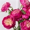 7141А/0443-17/7Р Ранункулюс искусственный 2 головы, 1 бутон h50см, цикламен 36109 - фото 90826
