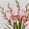 7141А/9120-26/1Р Гладиолус искусственный h85см, розовый 36125 - фото 90885