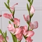 7141А/9120-26/1Р Гладиолус искусственный h85см, розовый 36125 - фото 90886