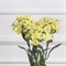 7141А/9120-10/3Р(АКЦИЯ) Гвоздика турецкая искусственная h54см, желтая 36189 - фото 91041