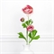 7141/9120-17/1Р Ранункулюс искусственный 1 голова d6см, 2 бутона, h58см, розов. 36226 - фото 91091