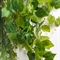 Л106(Пр)(F) Лиана искусственная с плющом L100см 36395 - фото 91332