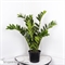 070/К/495(Х)(Fix)(F) Замиокулькас искусственный куст h70см 36547 - фото 91569