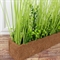 Т0255(з) Трава искусственная Осока с самшитом h28см в кокосовом боксе 50х8х8см 36567 - фото 91587