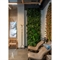 ФТС135 Фитостена, за 1кв.м 36759 - фото 92186