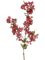 Жасмин бордовый ветка (искусственный) Nieuwkoop Europe 37613 - фото 94520