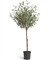 Олива Топиари Шар (серия Prime) искусственная (Treez Collection) 38254 - фото 96656