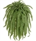 Папоротник Бостон Новый свисающий Гигант (искусственный) Treez Collection 32726 - фото 96669