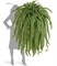 Папоротник Бостон Новый свисающий Гигант (искусственный) Treez Collection 32726 - фото 96670