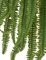 Папоротник Бостон Новый свисающий Гигант (искусственный) Treez Collection 32726 - фото 96672
