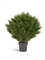 Туя Брабант пушистая шаровидная уличная (искусственная) Treez Collection 35188 - фото 96685