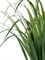 Лемонграсс трава зелёная высокая в горшке (искусственная) Treez Collection 38212 - фото 96696