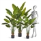 Стрелиция New Style с UV-защитой (Sensitive Botanic) 180 искусственная (Treez Collection) 38204 - фото 96718