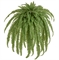 Папоротник Бостон Новый свисающий Биг (искусственный) Treez Collection 32725 - фото 96720