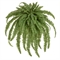 Папоротник Бостон Новый свисающий Мидл (искусственный) Treez Collection 32723 - фото 96725
